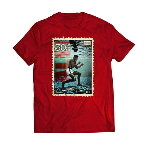 the 3o5 - Liberty City's ALI - RED